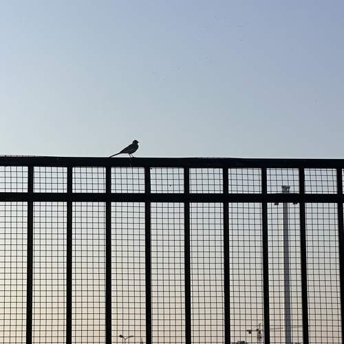 Photo #12466822