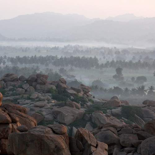 Photo #12467218