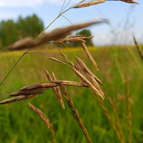 Photo #12467265