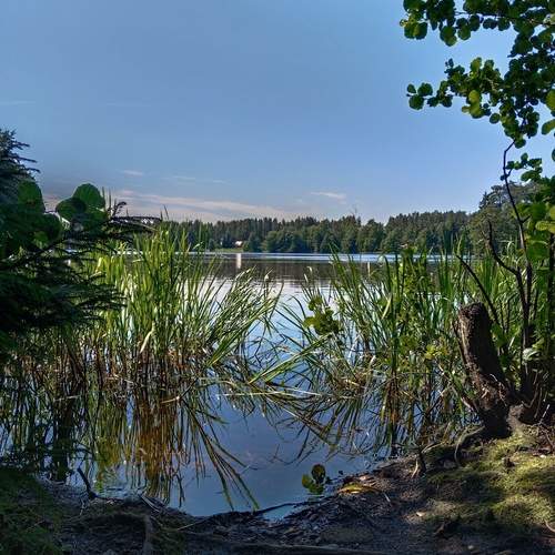 Photo #12467292