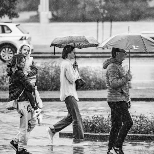 Photo #12467401