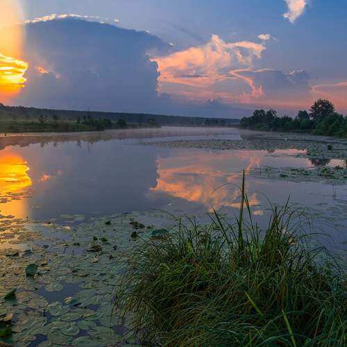 Photo #12467416