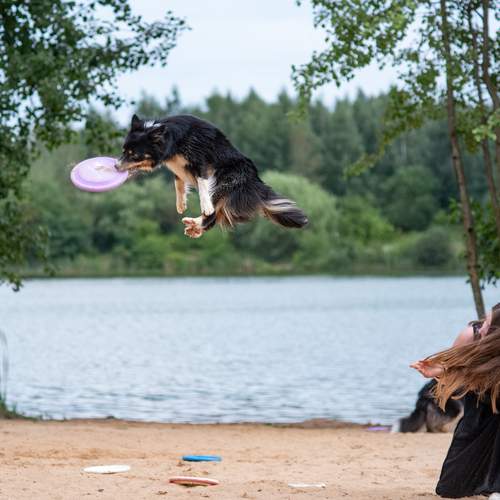 Фотография #12467450