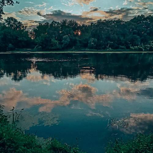 Photo #12467629
