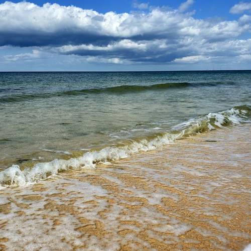 Photo #12467654