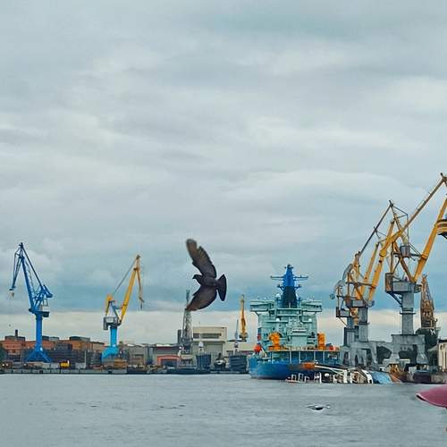 Photo #12467842