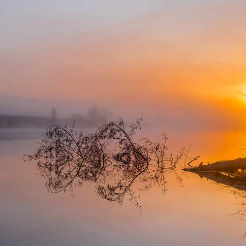 Photo #12467912