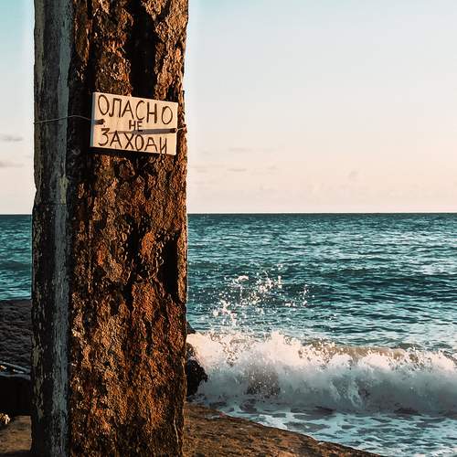 Photo #12468334
