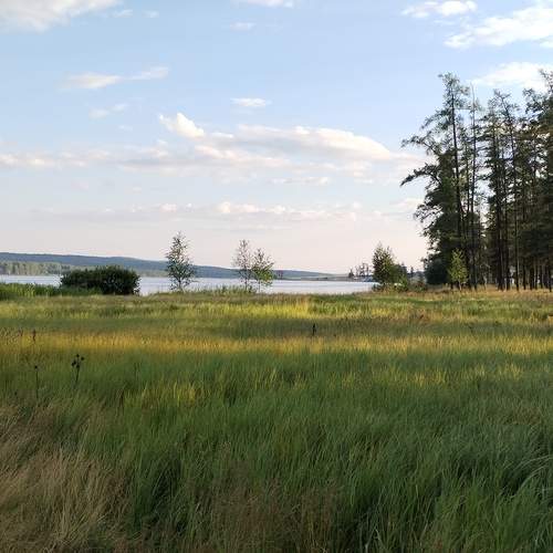 Photo #12468884