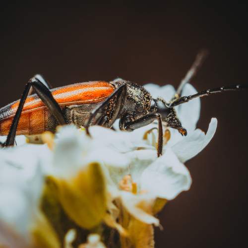 Photo #12469010