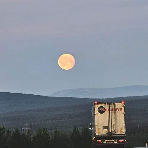 Photo #12469199