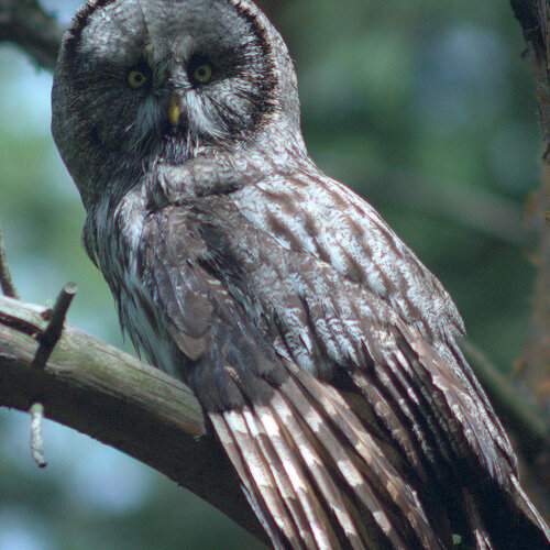 Photo #12469283
