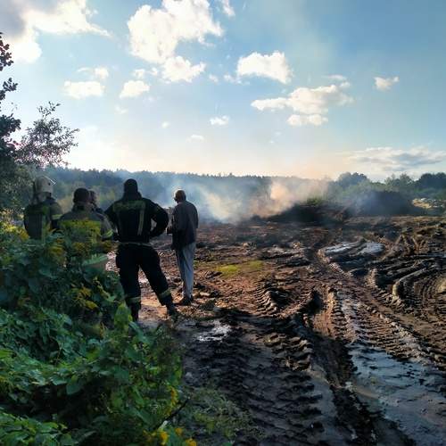Photo #12469339