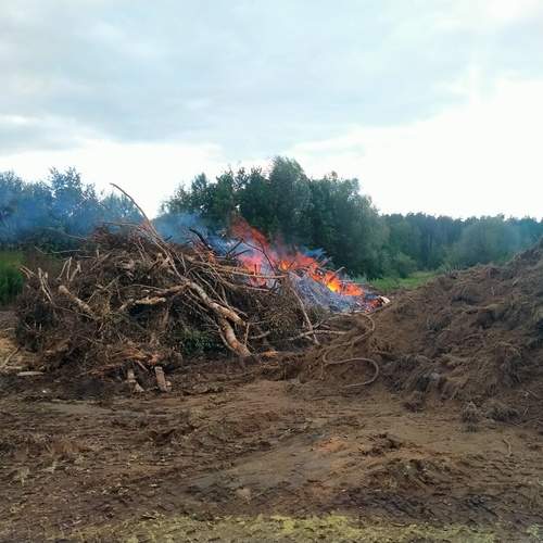 Photo #12469344