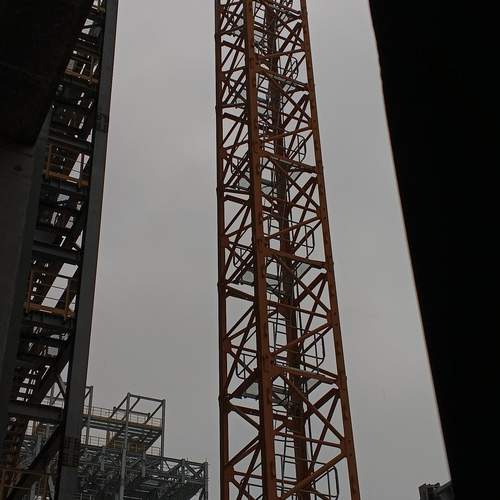 Photo #12469541