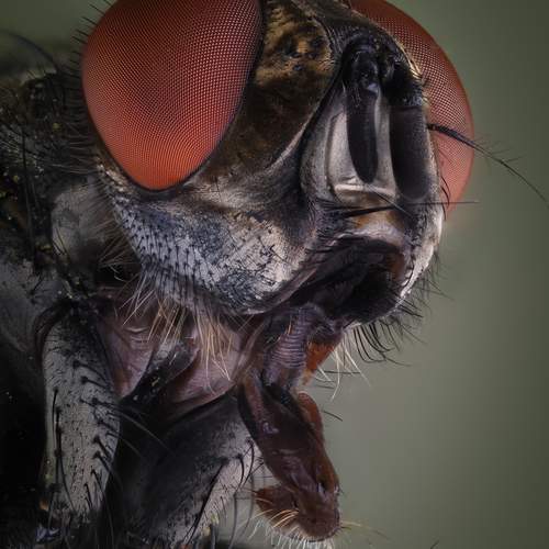 Фотография #12469967