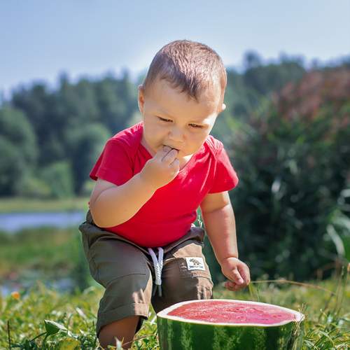 Photo #12470197