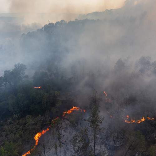 Photo #12470453