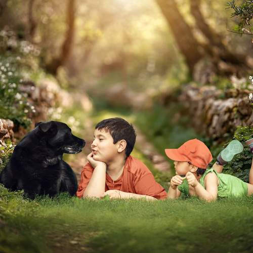 Фотография #12470502