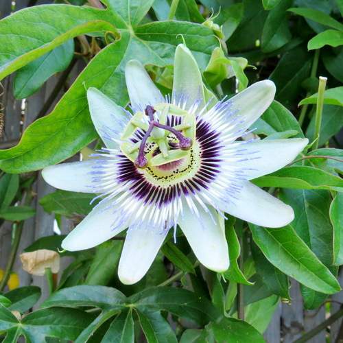 Photo #12470702
