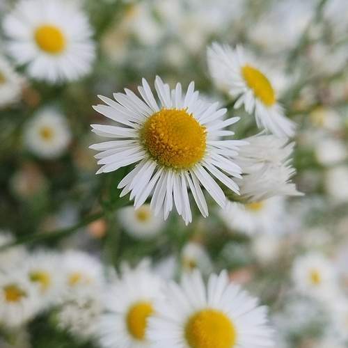 Photo #12470763