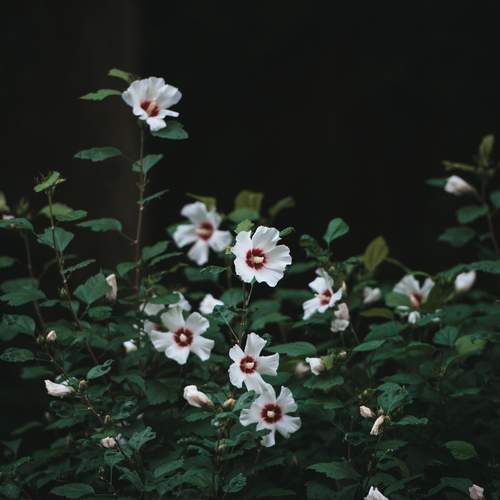 Photo #12470850