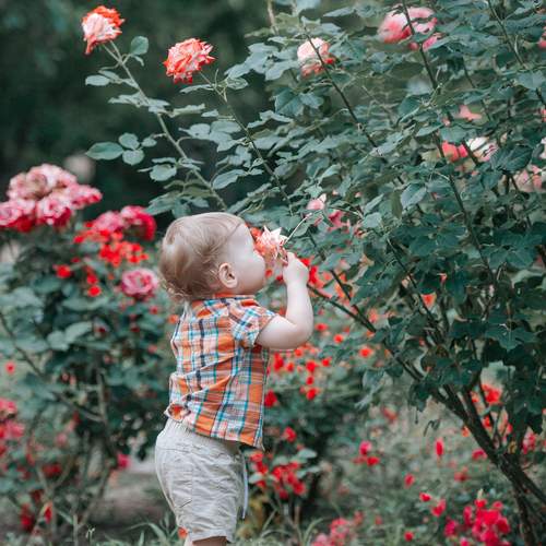Photo #12470896
