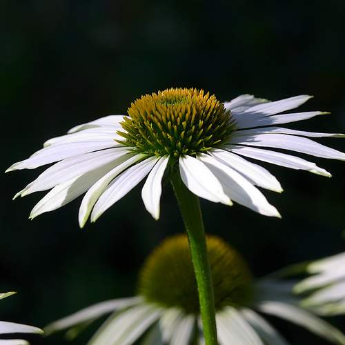 Photo #12470969