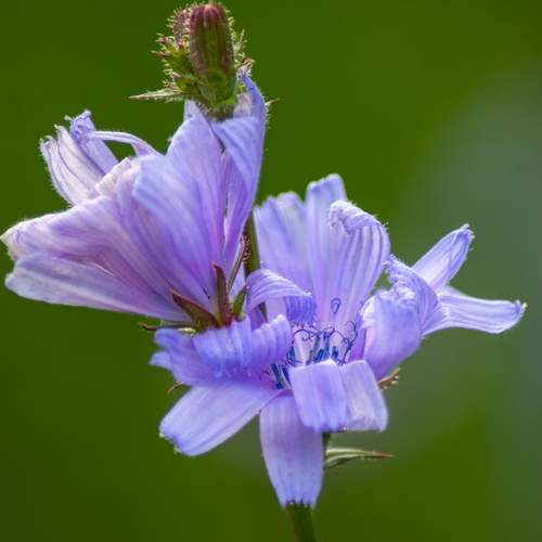 Photo #12471020