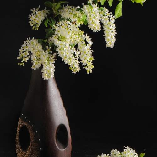 Photo #12471648