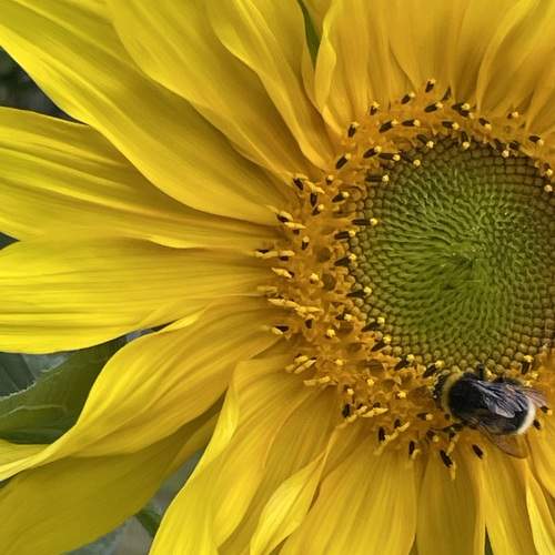 Photo #12471680