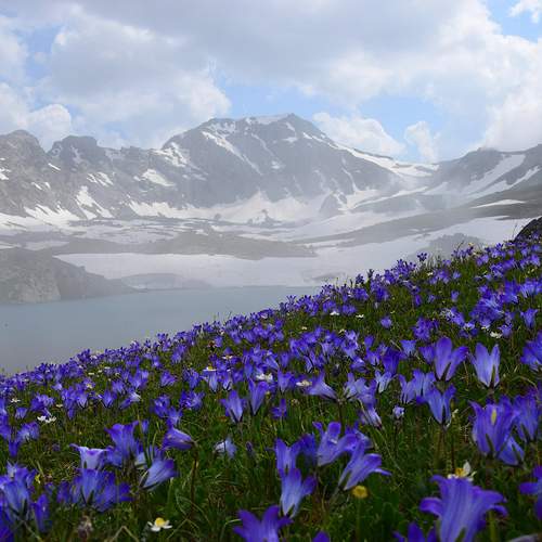 Photo #12471757