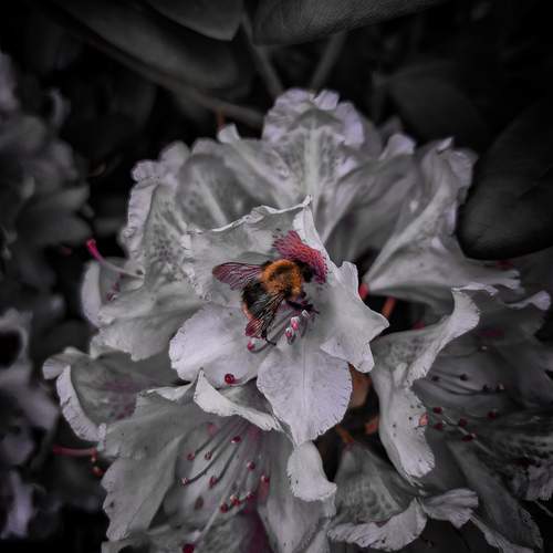 Photo #12471758