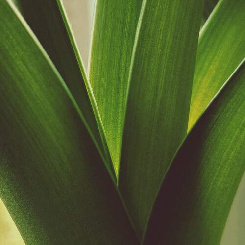 Photo #12471850