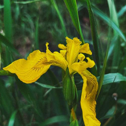 Photo #12471948