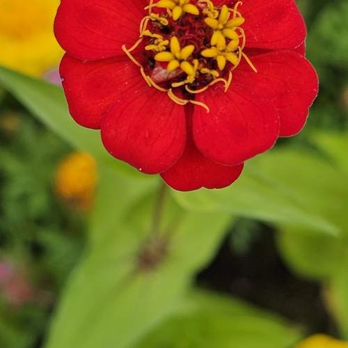 Photo #12472041