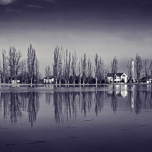 Фотография #12472285