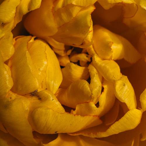 Photo #12472401