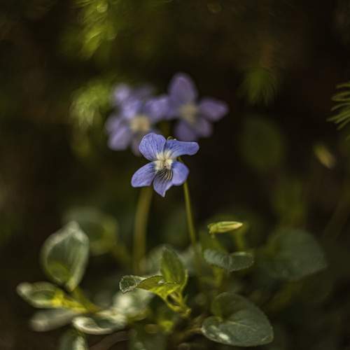 Photo #12472413
