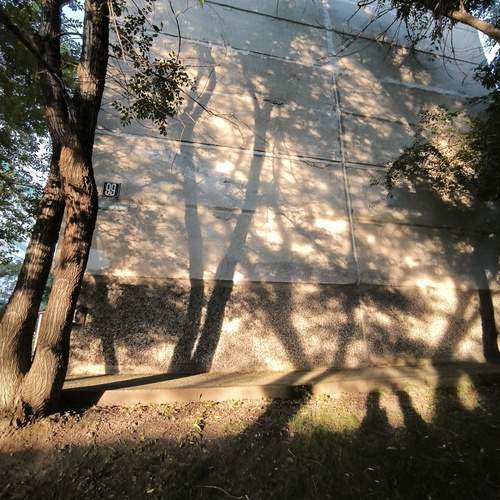 Photo #12472521