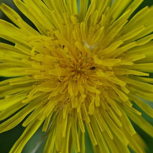 Photo #12472903