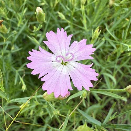 Photo #12472954