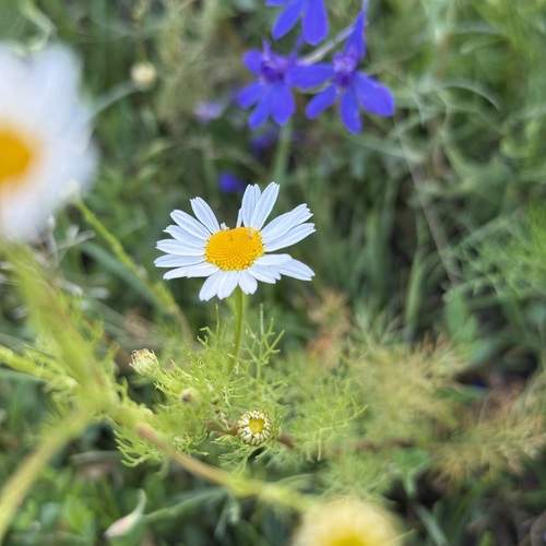 Photo #12472961