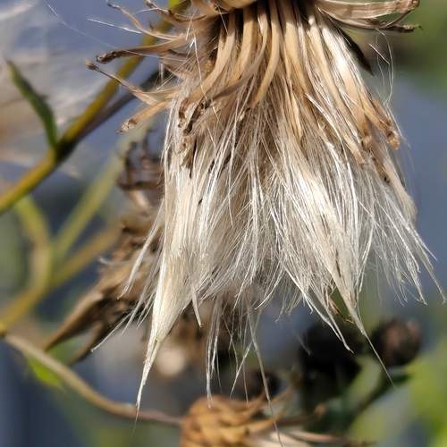 Photo #12472997