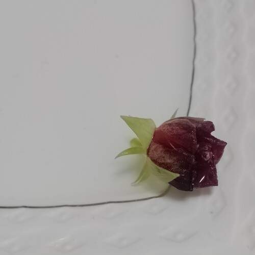 Photo #12473150