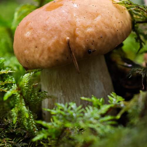 Photo #12473450