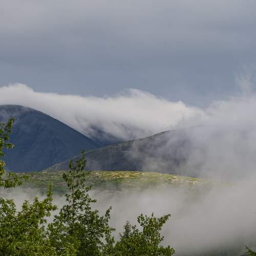 Photo #12473525