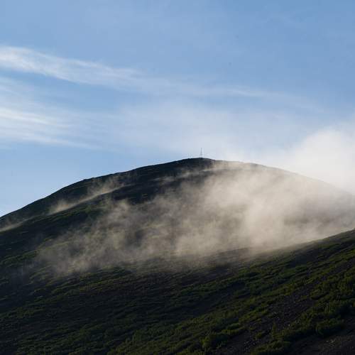 Photo #12473544