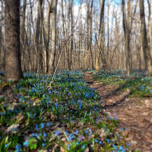 Photo #12473545