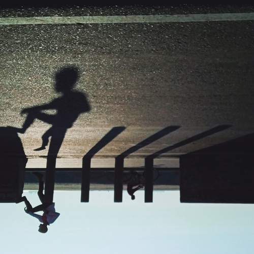 Photo #12473583